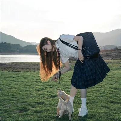 大寻宝家